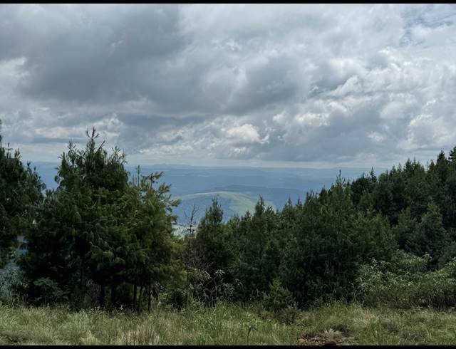 1,730HA FARM FOR SALE IN DARGLE
